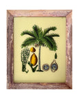 Palm Tree And Nuts - Medium Glass Painting