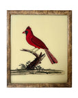Red Cardinal Bird - Medium Glass Painting