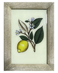 Hand Painted Indian Glass Art - Lemon - Small