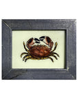 Hand Painted Indian Glass Art - Crab - Mini