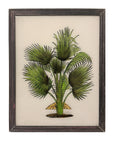 Palm Plant - Medium Glass Painting