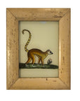 Lemur - Mini Glass Painting