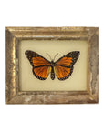 Orange Butterfly - Mini Glass Painting