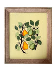 Pears - Medium Glass Painting