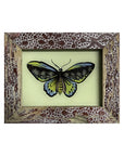 Hand Painted Indian Glass Art - Butterfly - Mini