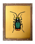 Golden Bettle - Medium Glass Painting