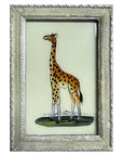 Hand Painted Indian Glass Art - Giraffe  - Small