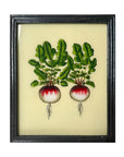 Radishes - Medium Glass Painting