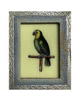 Hand Painted Indian Glass Art - Parrot - Mini