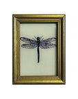 Hand Painted Indian Glass Art - Dragonfly - Mini