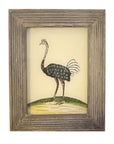 Ostrich - Mini Glass Painting