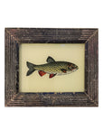 Fish - Mini Glass Painting