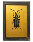 Golden Beetle - Small Glass Painting