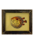 Puffer Fish - Mini Glass Painting