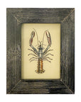 Spiny Lobster - Mini Glass Painting