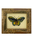 Blue Butterfly - Mini Glass Painting