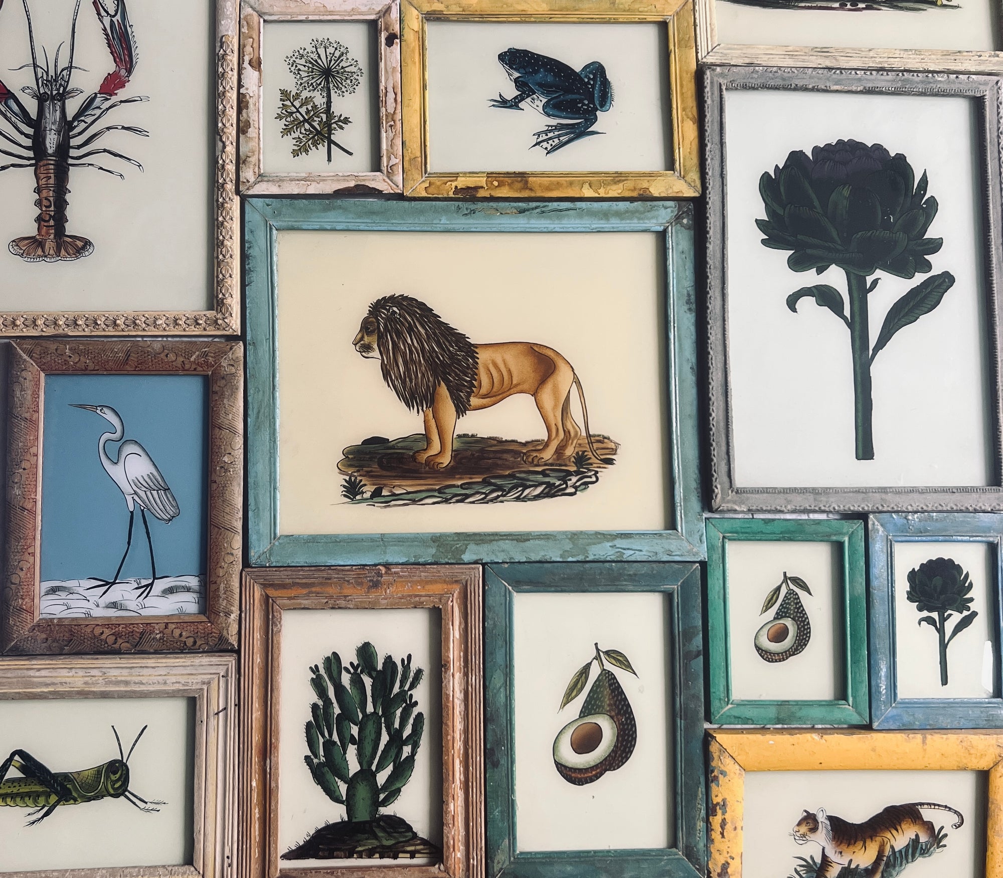 Collection Image