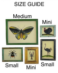 Hand Painted Indian Glass Art - Cockerel - Mini